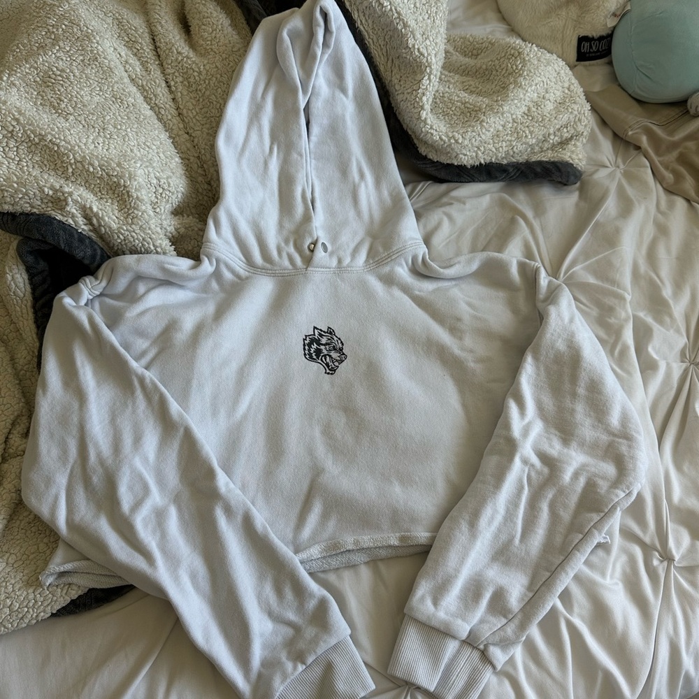 Darc Sport Cropped Hoodie